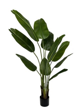 Artificial Tree 48*48*65cm Banian tree in PP pot/275 lvs GS-30423051 Tree&Plant 3,000+ sqm showroom with thousands of artificial flowers, plants & trees ready for global sourcing.