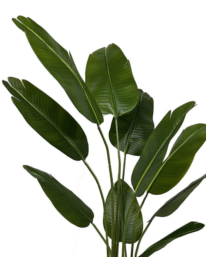 Artificial Tree 60*60*150cm Strelitziaceae *10 in PP pot/10 lvs GS-30423053 Tree&Plant YeahFlower is one of Chinese leading OEM manufacturers and exporters , supplying the silk flowers, wholesale artificial trees