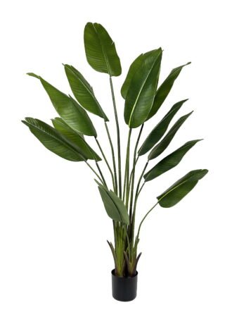 Artificial Tree 65*65*89cm Daffodils *3 in PP pot/ lvs 24 GS-30423035 Tree&Plant 3,000+ sqm showroom with thousands of artificial flowers, plants & trees ready for global sourcing.