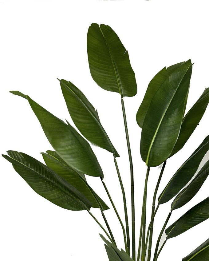 Artificial Tree Strelitziaceae 13 in PP pot 13 lvs GS-30423052_1 Artificial Tree 80*80*190cm Strelitziaceae *13 in PP pot/13 lvs GS-30423052 Tree&Plant YeahFlower is one of Chinese leading OEM manufacturers and exporters , supplying the silk flowers, wholesale artificial trees