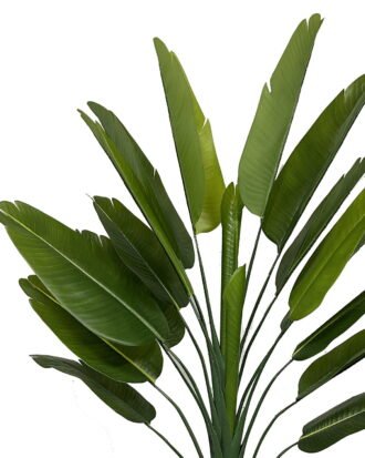 Artificial Tree 90*35*160cm Strelitziaceae *2 in PP pot/18 lvs GS-30423055 Tree&Plant YeahFlower is one of Chinese leading OEM manufacturers and exporters , supplying the silk flowers, wholesale artificial trees