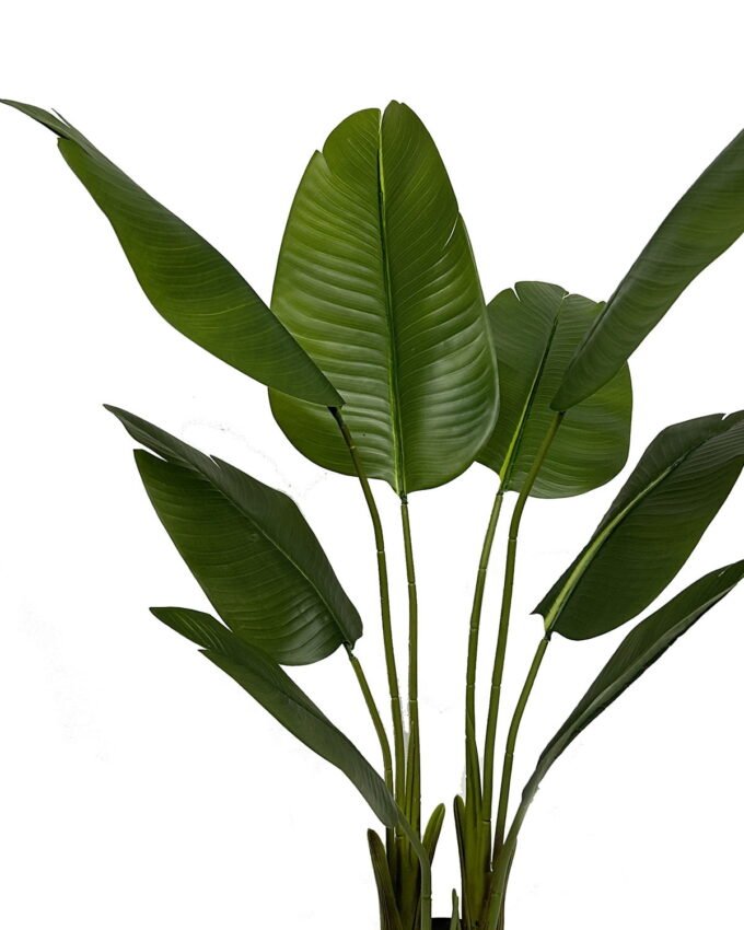 Artificial Tree 45*45*120cm Strelitziaceae *8 in PP pot/8 lvs GS-30423054 Tree&Plant YeahFlower is one of Chinese leading OEM manufacturers and exporters , supplying the silk flowers, wholesale artificial trees