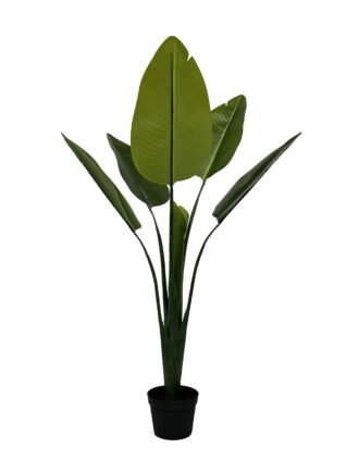 Artificial Tree 50*50*95cm Strelitziaceae  in PP pot/6 lvs GS-30423058 Tree&Plant YeahFlower is one of Chinese leading OEM manufacturers and exporters , supplying the silk flowers, wholesale artificial trees