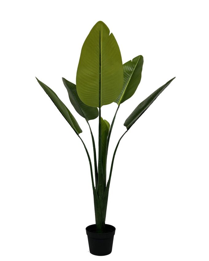 Artificial Tree 50*50*95cm Strelitziaceae  in PP pot/6 lvs GS-30423058 Tree&Plant YeahFlower is one of Chinese leading OEM manufacturers and exporters , supplying the silk flowers, wholesale artificial trees