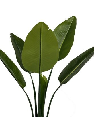 Artificial Tree 50*50*95cm Strelitziaceae  in PP pot/6 lvs GS-30423058 Tree&Plant YeahFlower is one of Chinese leading OEM manufacturers and exporters , supplying the silk flowers, wholesale artificial trees