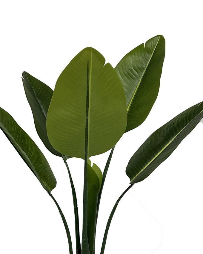 Artificial Tree 50*50*95cm Strelitziaceae  in PP pot/6 lvs GS-30423058 Tree&Plant YeahFlower is one of Chinese leading OEM manufacturers and exporters , supplying the silk flowers, wholesale artificial trees