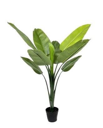 Artificial Tree 65*65*127cm Strelitziaceae in PP pot/9 lvs GS-30423056 Tree&Plant YeahFlower is one of Chinese leading OEM manufacturers and exporters , supplying the silk flowers, wholesale artificial trees Artificial Tree 65*65*127cm Strelitziaceae in PP pot/9 lvs GS-30423056 Tree&Plant YeahFlower is one of Chinese leading OEM manufacturers and exporters , supplying the silk flowers, wholesale artificial trees