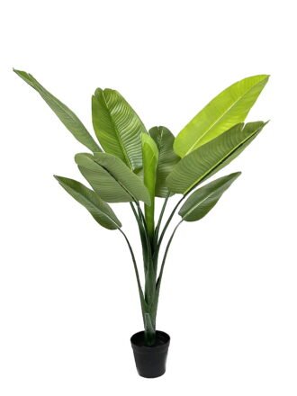 Artificial Tree 80*80*190cm Strelitziaceae *13 in PP pot/13 lvs GS-30423052 Tree&Plant 3,000+ sqm showroom with thousands of artificial flowers, plants & trees ready for global sourcing.