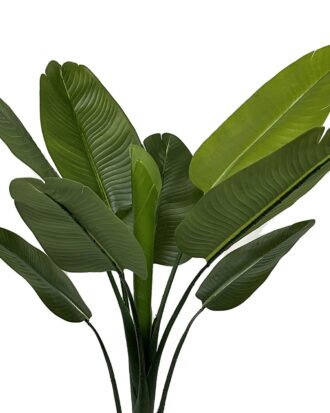 Artificial Tree 65*65*127cm Strelitziaceae in PP pot/9 lvs GS-30423056 Tree&Plant YeahFlower is one of Chinese leading OEM manufacturers and exporters , supplying the silk flowers, wholesale artificial trees Artificial Tree 65*65*127cm Strelitziaceae in PP pot/9 lvs GS-30423056 Tree&Plant YeahFlower is one of Chinese leading OEM manufacturers and exporters , supplying the silk flowers, wholesale artificial trees