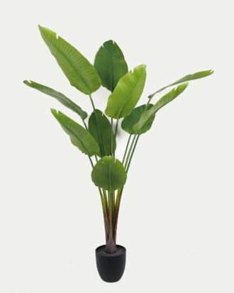 Artificial Tree 95*95*185cm Strelitziaceae in PP pot/lvs 10 GS-59523021 Tree&Plant YeahFlower is one of Chinese leading OEM manufacturers and exporters , supplying the silk flowers, wholesale artificial trees Artificial Tree 95*95*185cm Strelitziaceae in PP pot/lvs 10 GS-59523021 Tree&Plant YeahFlower is one of Chinese leading OEM manufacturers and exporters , supplying the silk flowers, wholesale artificial trees