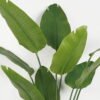 Artificial Tree Strelitziaceae in PP pot lvs 10 GS-59523021_3 Artificial Tree 95*95*185cm Strelitziaceae in PP pot/lvs 10 GS-59523021 Tree&Plant YeahFlower is one of Chinese leading OEM manufacturers and exporters , supplying the silk flowers, wholesale artificial trees