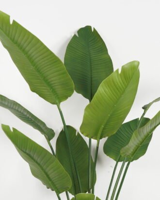 Artificial Tree 95*95*185cm Strelitziaceae in PP pot/lvs 10 GS-59523021 Tree&Plant YeahFlower is one of Chinese leading OEM manufacturers and exporters , supplying the silk flowers, wholesale artificial trees Artificial Tree 95*95*185cm Strelitziaceae in PP pot/lvs 10 GS-59523021 Tree&Plant YeahFlower is one of Chinese leading OEM manufacturers and exporters , supplying the silk flowers, wholesale artificial trees