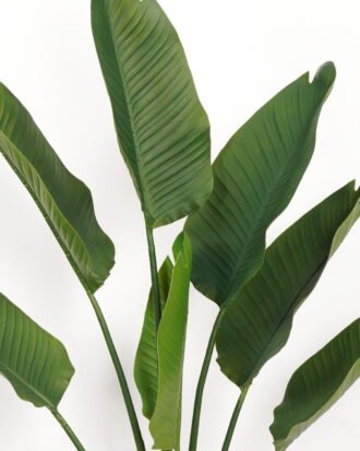 Artificial Tree 84*23*135cm Strelitziaceae in PP pot/lvs 7 GS-59523020 Tree&Plant YeahFlower is one of Chinese leading OEM manufacturers and exporters , supplying the silk flowers, wholesale artificial trees Artificial Tree 84*23*135cm Strelitziaceae in PP pot/lvs 7 GS-59523020 Tree&Plant YeahFlower is one of Chinese leading OEM manufacturers and exporters , supplying the silk flowers, wholesale artificial trees