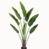 Artificial Tree Strelitziaceae in PP pot lvs 8 GS-59523019_7 Artificial Tree 74*23*150cm Strelitziaceae in PP pot/lvs 8 GS-59523019 Tree&Plant YeahFlower is one of Chinese leading OEM manufacturers and exporters , supplying the silk flowers, wholesale artificial trees