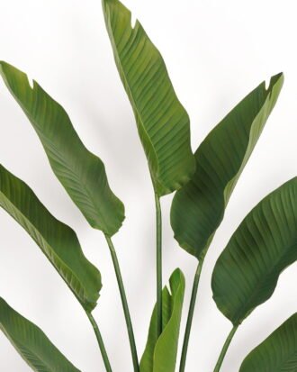 Artificial Tree 74*23*150cm Strelitziaceae in PP pot/lvs 8 GS-59523019 Tree&Plant YeahFlower is one of Chinese leading OEM manufacturers and exporters , supplying the silk flowers, wholesale artificial trees Artificial Tree 74*23*150cm Strelitziaceae in PP pot/lvs 8 GS-59523019 Tree&Plant YeahFlower is one of Chinese leading OEM manufacturers and exporters , supplying the silk flowers, wholesale artificial trees