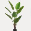 Artificial Tree 75*75*159cm Strelitziaceae in PP pot/lvs 8 GS-59523022 Tree&Plant YeahFlower is one of Chinese leading OEM manufacturers and exporters , supplying the silk flowers, wholesale artificial trees