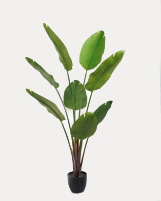 Artificial Tree 75*75*159cm Strelitziaceae in PP pot/lvs 8 GS-59523022 Tree&Plant YeahFlower is one of Chinese leading OEM manufacturers and exporters , supplying the silk flowers, wholesale artificial trees Artificial Tree 75*75*159cm Strelitziaceae in PP pot/lvs 8 GS-59523022 Tree&Plant YeahFlower is one of Chinese leading OEM manufacturers and exporters , supplying the silk flowers, wholesale artificial trees