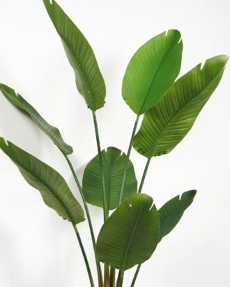 Artificial Tree 75*75*159cm Strelitziaceae in PP pot/lvs 8 GS-59523022 Tree&Plant YeahFlower is one of Chinese leading OEM manufacturers and exporters , supplying the silk flowers, wholesale artificial trees Artificial Tree 75*75*159cm Strelitziaceae in PP pot/lvs 8 GS-59523022 Tree&Plant YeahFlower is one of Chinese leading OEM manufacturers and exporters , supplying the silk flowers, wholesale artificial trees