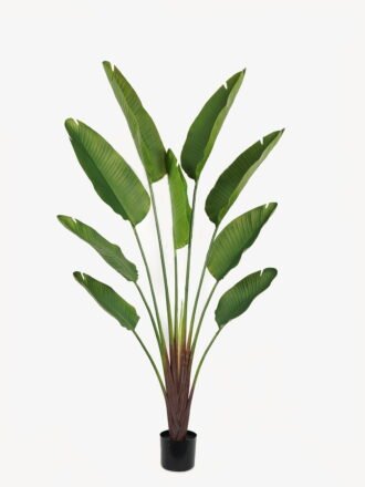 Artificial Tree 74*23*150cm Strelitziaceae in PP pot/lvs 8 GS-59523019 Tree&Plant 3,000+ sqm showroom with thousands of artificial flowers, plants & trees ready for global sourcing.