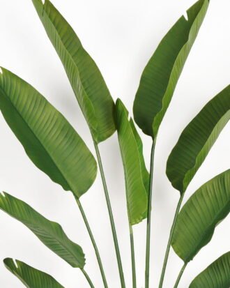 Artificial Tree 80*23*180cm Strelitziaceae in PP pot/lvs 9 GS-59523018 Tree&Plant YeahFlower is one of Chinese leading OEM manufacturers and exporters , supplying the silk flowers, wholesale artificial trees Artificial Tree 80*23*180cm Strelitziaceae in PP pot/lvs 9 GS-59523018 Tree&Plant YeahFlower is one of Chinese leading OEM manufacturers and exporters , supplying the silk flowers, wholesale artificial trees