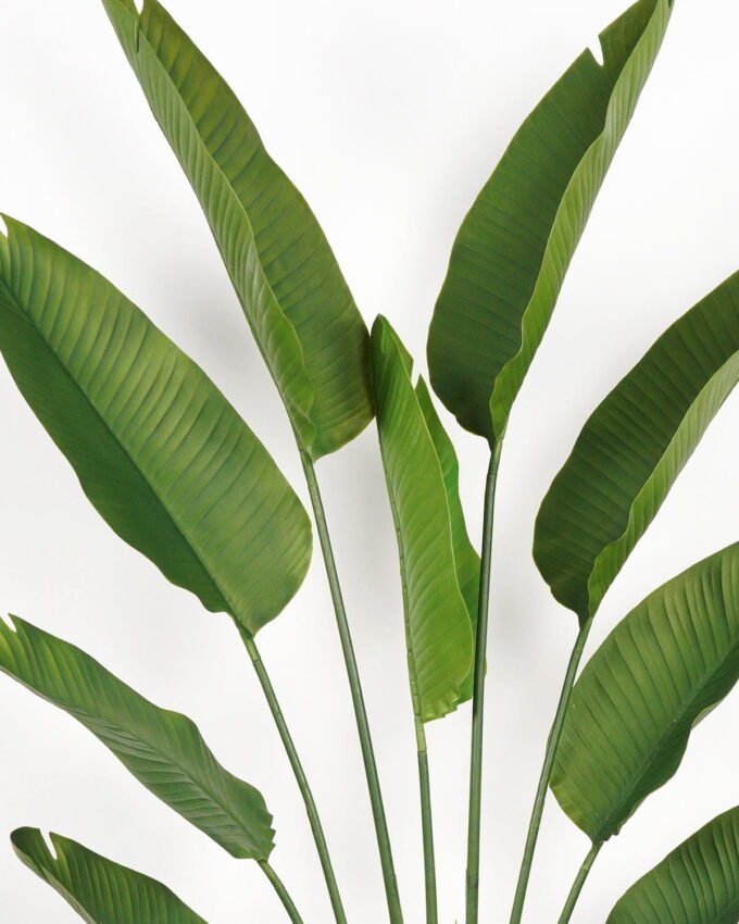 Artificial Tree 80*23*180cm Strelitziaceae in PP pot/lvs 9 GS-59523018 Tree&Plant YeahFlower is one of Chinese leading OEM manufacturers and exporters , supplying the silk flowers, wholesale artificial trees