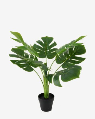 Artificial Tree 57*57*66cm Taro leaf in PP pot/7 lvs GS-59523016KIK Tree&Plant YeahFlower is one of Chinese leading OEM manufacturers and exporters , supplying the silk flowers, wholesale artificial trees Artificial Tree 57*57*66cm Taro leaf in PP pot/7 lvs GS-59523016KIK Tree&Plant YeahFlower is one of Chinese leading OEM manufacturers and exporters , supplying the silk flowers, wholesale artificial trees