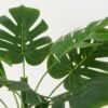 Artificial Tree 57*57*66cm Taro leaf in PP pot/7 lvs GS-59523016KIK Tree&Plant YeahFlower is one of Chinese leading OEM manufacturers and exporters , supplying the silk flowers, wholesale artificial trees
