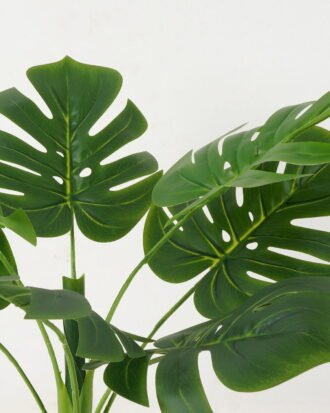 Artificial Tree 57*57*66cm Taro leaf in PP pot/7 lvs GS-59523016KIK Tree&Plant YeahFlower is one of Chinese leading OEM manufacturers and exporters , supplying the silk flowers, wholesale artificial trees Artificial Tree 57*57*66cm Taro leaf in PP pot/7 lvs GS-59523016KIK Tree&Plant YeahFlower is one of Chinese leading OEM manufacturers and exporters , supplying the silk flowers, wholesale artificial trees