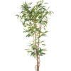 Artificial Tree 90*70*210cm Tree *7 in PP pot GS-59523038 Tree&Plant YeahFlower is one of Chinese leading OEM manufacturers and exporters , supplying the silk flowers, wholesale artificial trees
