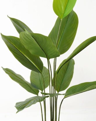 Artificial Tree 66*66*118cm Tree in PP pot/12 lvs GS-66423011 Tree&Plant YeahFlower is one of Chinese leading OEM manufacturers and exporters , supplying the silk flowers, wholesale artificial trees