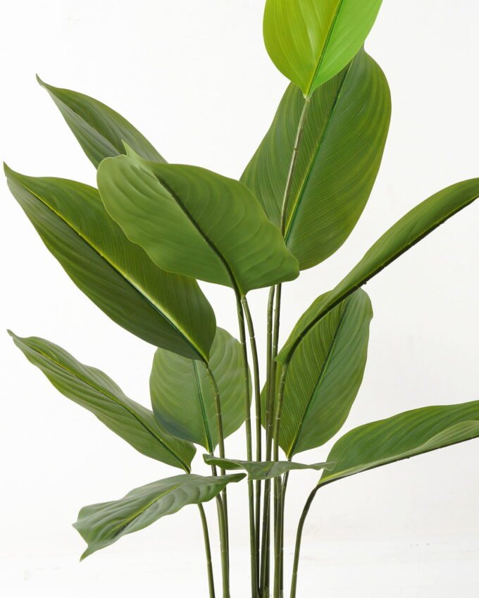 Artificial Tree 66*66*118cm Tree in PP pot/12 lvs GS-66423011 Tree&Plant YeahFlower is one of Chinese leading OEM manufacturers and exporters , supplying the silk flowers, wholesale artificial trees