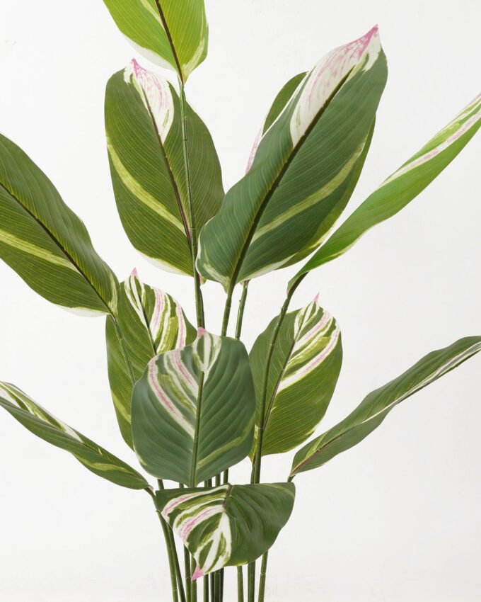 Artificial Tree 70*70*118cm Tree in PP pot/12 lvs GS-66423017 Tree&Plant YeahFlower is one of Chinese leading OEM manufacturers and exporters , supplying the silk flowers, wholesale artificial trees