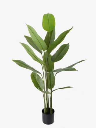 Artificial Tree 65*90cm Canna *3 in PP pot/9 lvs GS-66423009 Tree&Plant 3,000+ sqm showroom with thousands of artificial flowers, plants & trees ready for global sourcing.
