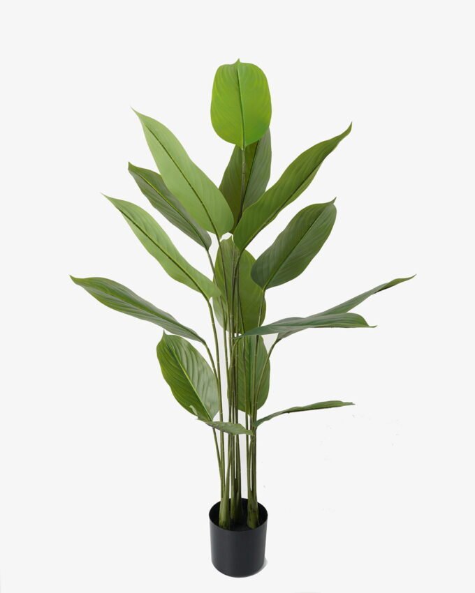 Artificial Tree 70*70*140cm Tree in PP pot/15 lvs GS-66423010 Tree&Plant YeahFlower is one of Chinese leading OEM manufacturers and exporters , supplying the silk flowers, wholesale artificial trees