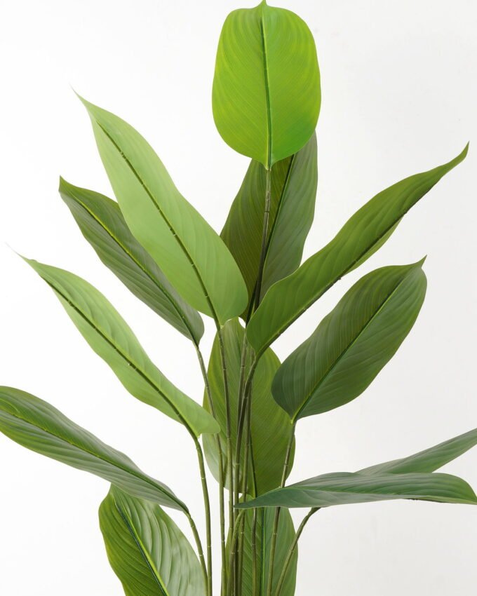 Artificial Tree 70*70*140cm Tree in PP pot/15 lvs GS-66423010 Tree&Plant YeahFlower is one of Chinese leading OEM manufacturers and exporters , supplying the silk flowers, wholesale artificial trees