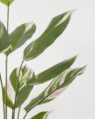 Artificial Tree 80*80*140cm Tree in PP pot/15 lvs GS-66423016 Tree&Plant YeahFlower is one of Chinese leading OEM manufacturers and exporters , supplying the silk flowers, wholesale artificial trees