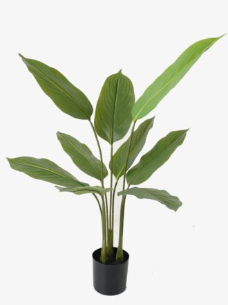 Artificial Tree 80*80*140cm Arrowroot in PP pot/15 lvs GS-66423013 Tree&Plant 3,000+ sqm showroom with thousands of artificial flowers, plants & trees ready for global sourcing.