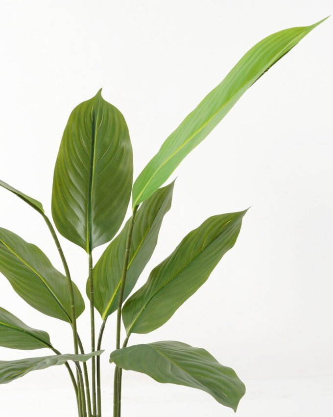 Artificial Tree 60*60*90cm Tree in PP pot/9 lvs GS-66423012 Tree&Plant YeahFlower is one of Chinese leading OEM manufacturers and exporters , supplying the silk flowers, wholesale artificial trees