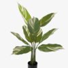 Artificial Tree 63*63*90cm Tree in PP pot/9 lvs GS-66423018 Tree&Plant YeahFlower is one of Chinese leading OEM manufacturers and exporters , supplying the silk flowers, wholesale artificial trees