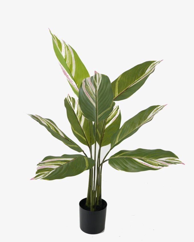 Artificial Tree 63*63*90cm Tree in PP pot/9 lvs GS-66423018 Tree&Plant YeahFlower is one of Chinese leading OEM manufacturers and exporters , supplying the silk flowers, wholesale artificial trees