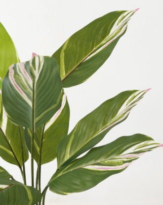 Artificial Tree 63*63*90cm Tree in PP pot/9 lvs GS-66423018 Tree&Plant YeahFlower is one of Chinese leading OEM manufacturers and exporters , supplying the silk flowers, wholesale artificial trees