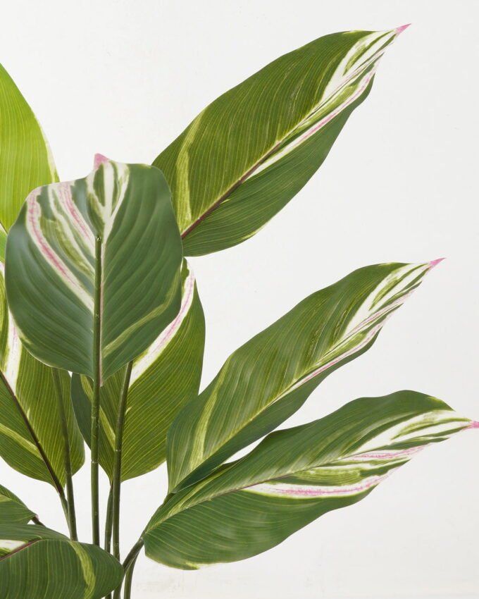 Artificial Tree 63*63*90cm Tree in PP pot/9 lvs GS-66423018 Tree&Plant YeahFlower is one of Chinese leading OEM manufacturers and exporters , supplying the silk flowers, wholesale artificial trees