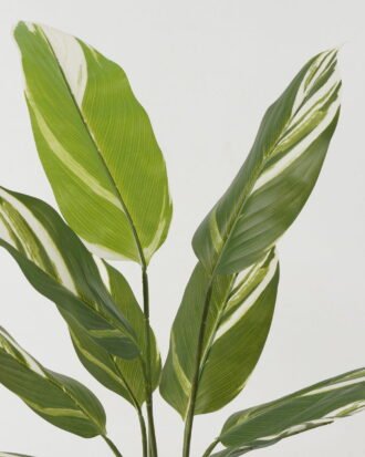 Artificial Tree 63*63*90cm Tree in PP pot/9 lvs GS-66423021 Tree&Plant YeahFlower is one of Chinese leading OEM manufacturers and exporters , supplying the silk flowers, wholesale artificial trees