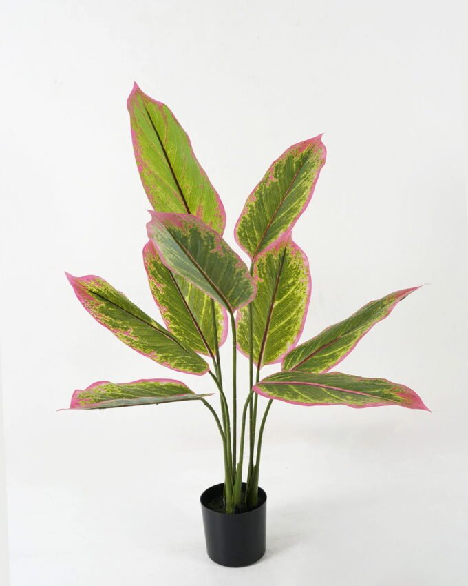 Artificial Tree 60*60*90cm Tree in PP pot/9 lvs GS-66423024 Tree&Plant YeahFlower is one of Chinese leading OEM manufacturers and exporters , supplying the silk flowers, wholesale artificial trees