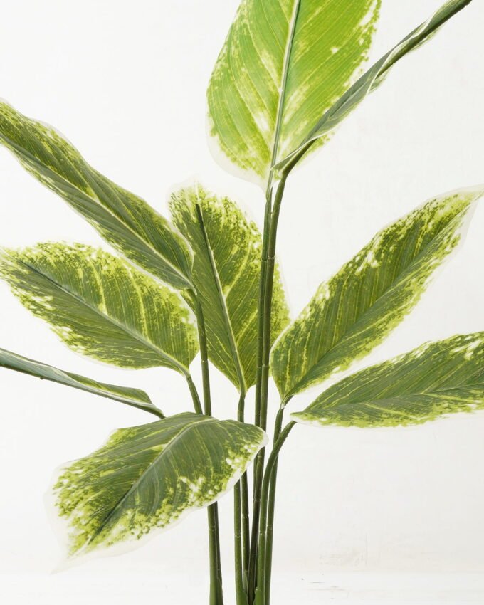 Artificial Tree 65*65*90cm Tree in PP pot/9 lvs GS-66423027 Tree&Plant YeahFlower is one of Chinese leading OEM manufacturers and exporters , supplying the silk flowers, wholesale artificial trees