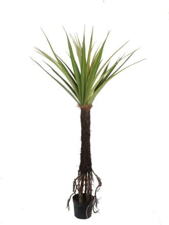 Artificial Tree 150*150*162cm Tree in PP pot GS-59523040 Tree&Plant 3,000+ sqm showroom with thousands of artificial flowers, plants & trees ready for global sourcing.