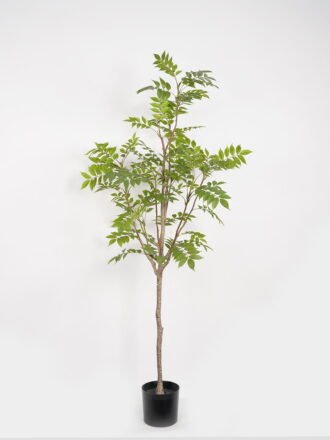Artificial Tree 165m Kwai tree in PP pot/29 lvs GS-59523076 Tree&Plant 3,000+ sqm showroom with thousands of artificial flowers, plants & trees ready for global sourcing.