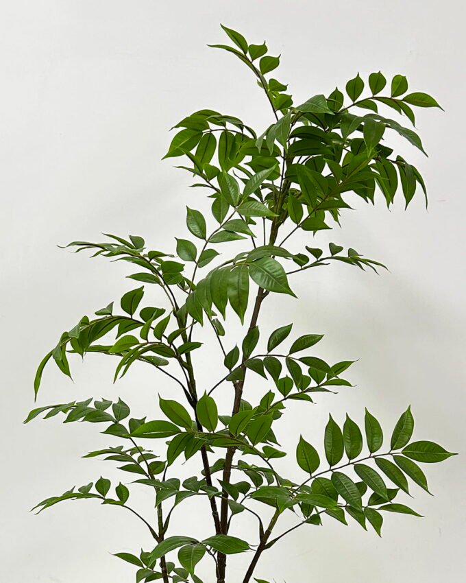 Artificial Tree 50*50*110cm Tree in PP pot GS-61923025 Tree&Plant YeahFlower is one of Chinese leading OEM manufacturers and exporters , supplying the silk flowers, wholesale artificial trees