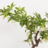 Artificial Tree 70*50*130cm Tree in PP pot GS-61923028 Tree&Plant YeahFlower is one of Chinese leading OEM manufacturers and exporters , supplying the silk flowers, wholesale artificial trees