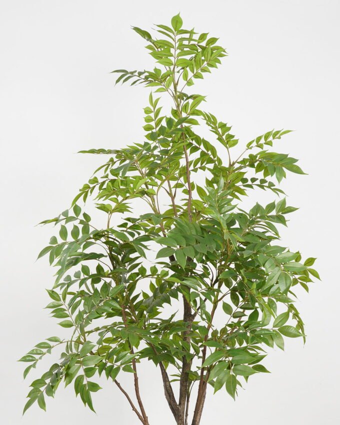 Artificial Tree 70*70*182cm Tree in PP pot GS-61923030 Tree&Plant YeahFlower is one of Chinese leading OEM manufacturers and exporters , supplying the silk flowers, wholesale artificial trees